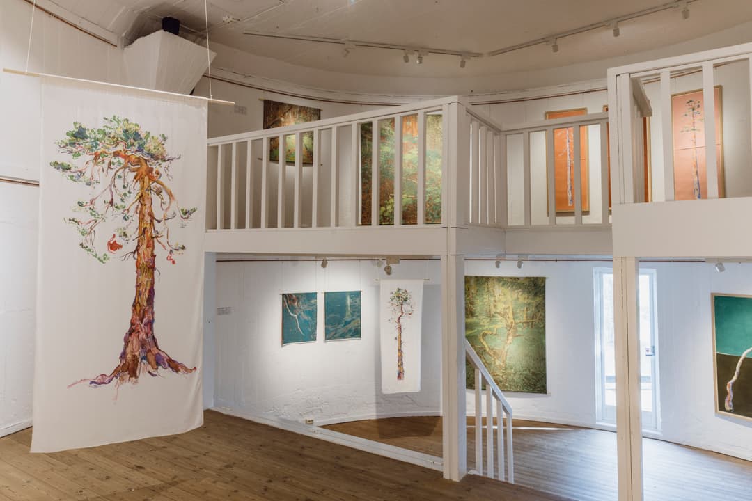 Sakte vokser ei krokete furu